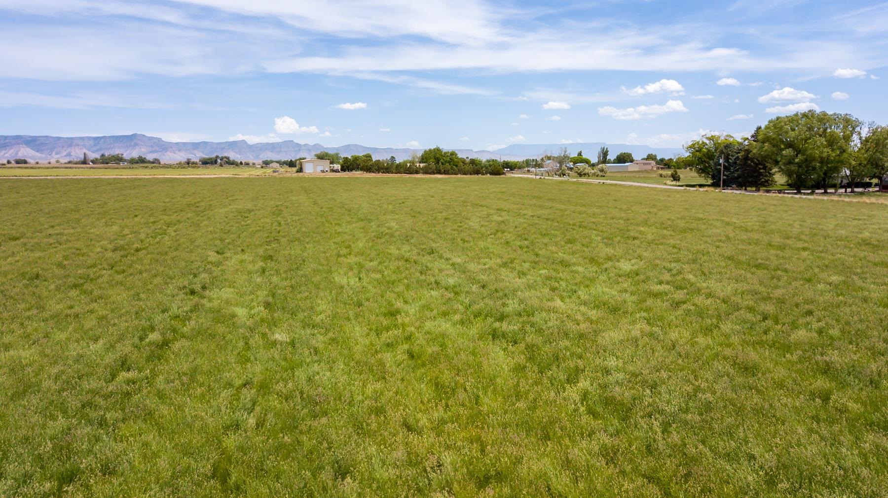1410 19 Road Fruita, CO 81521 - Photo 4 of 6