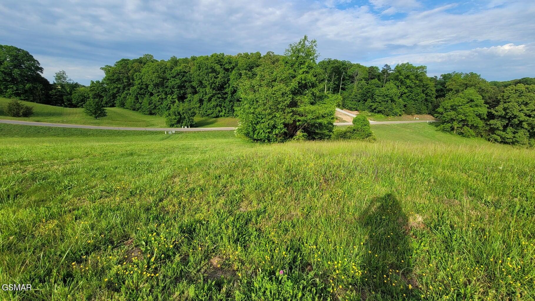 41 Shiloh Springs Road Rutledge, TN 37861 - Photo 1 of 6 Gallery Image 1