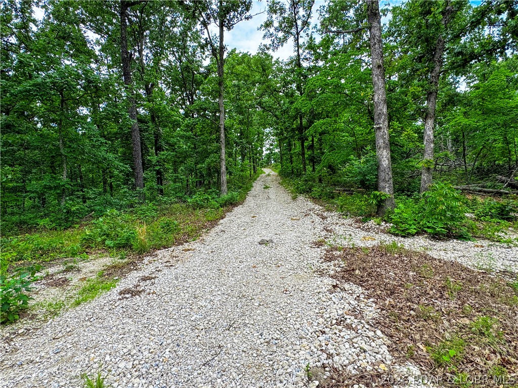 416 Coelleda School Road Roach, MO 65787 - Photo 4 of 20 Road going through property