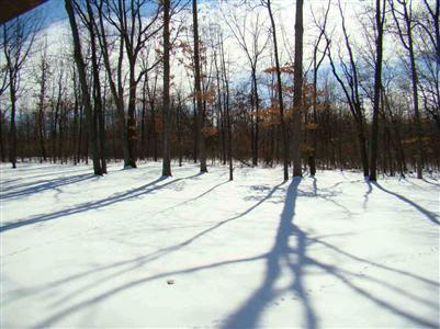 11359 Hidden Ridge Trail Fenton, MI 48430 - Photo 10 of 15 20271114-9.JPG