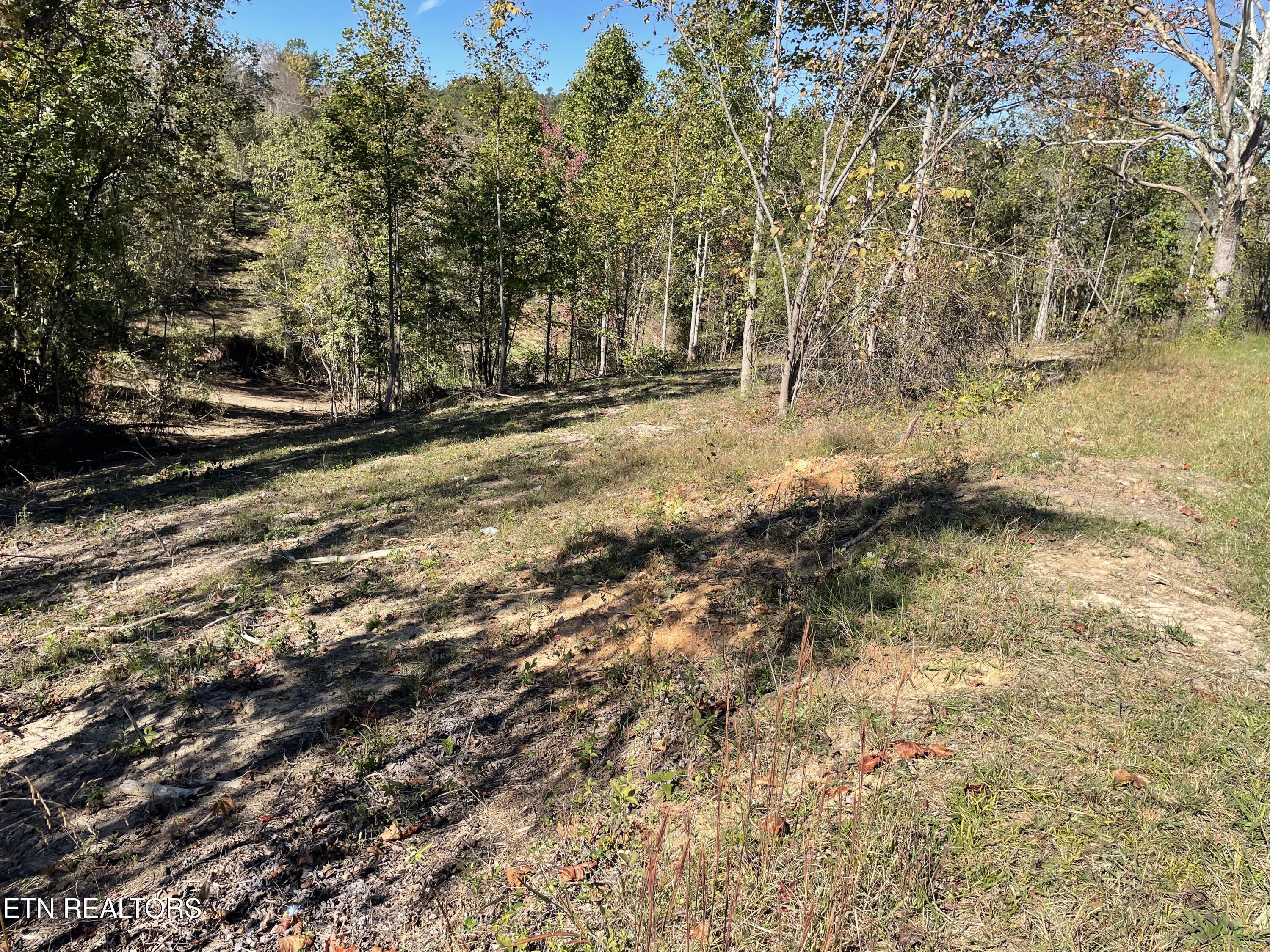 Lot 3 Turley Bridge Road Morristown, TN 37814 - Photo 1 of 3 Lot 2-4