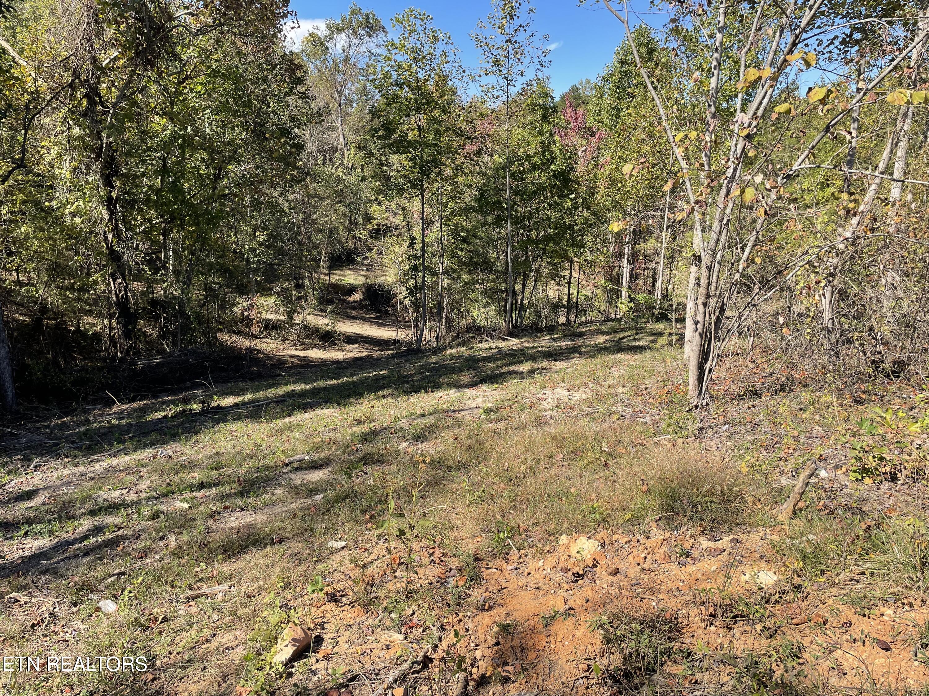 Lot 3 Turley Bridge Road Morristown, TN 37814 - Photo 2 of 3 Lot 2-5