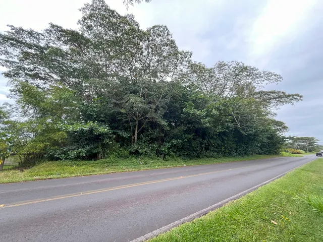 a view of a yard with a trees