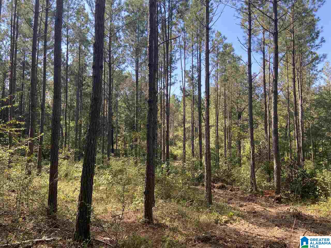 Cold Branch Road, Unit 48 Arab, AL 35016 - Photo 24 of 27