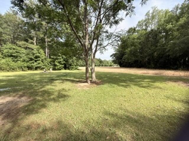 4741 Narrow Paved Road Lynchburg, SC 29080 - Photo 15 of 15 Back yard