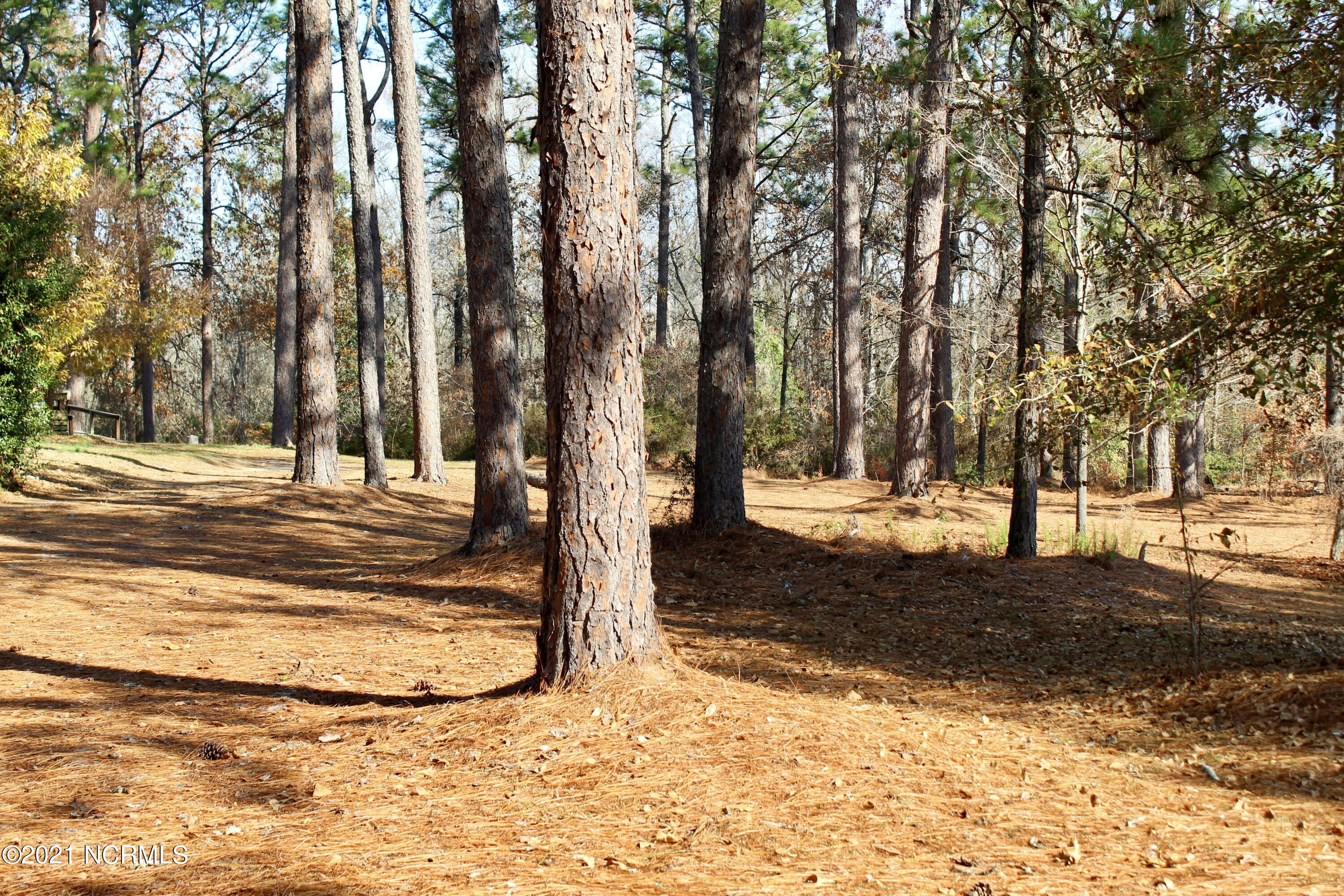 167 McGirt Road Hamlet, NC 28345 - Photo 19 of 27 backyard