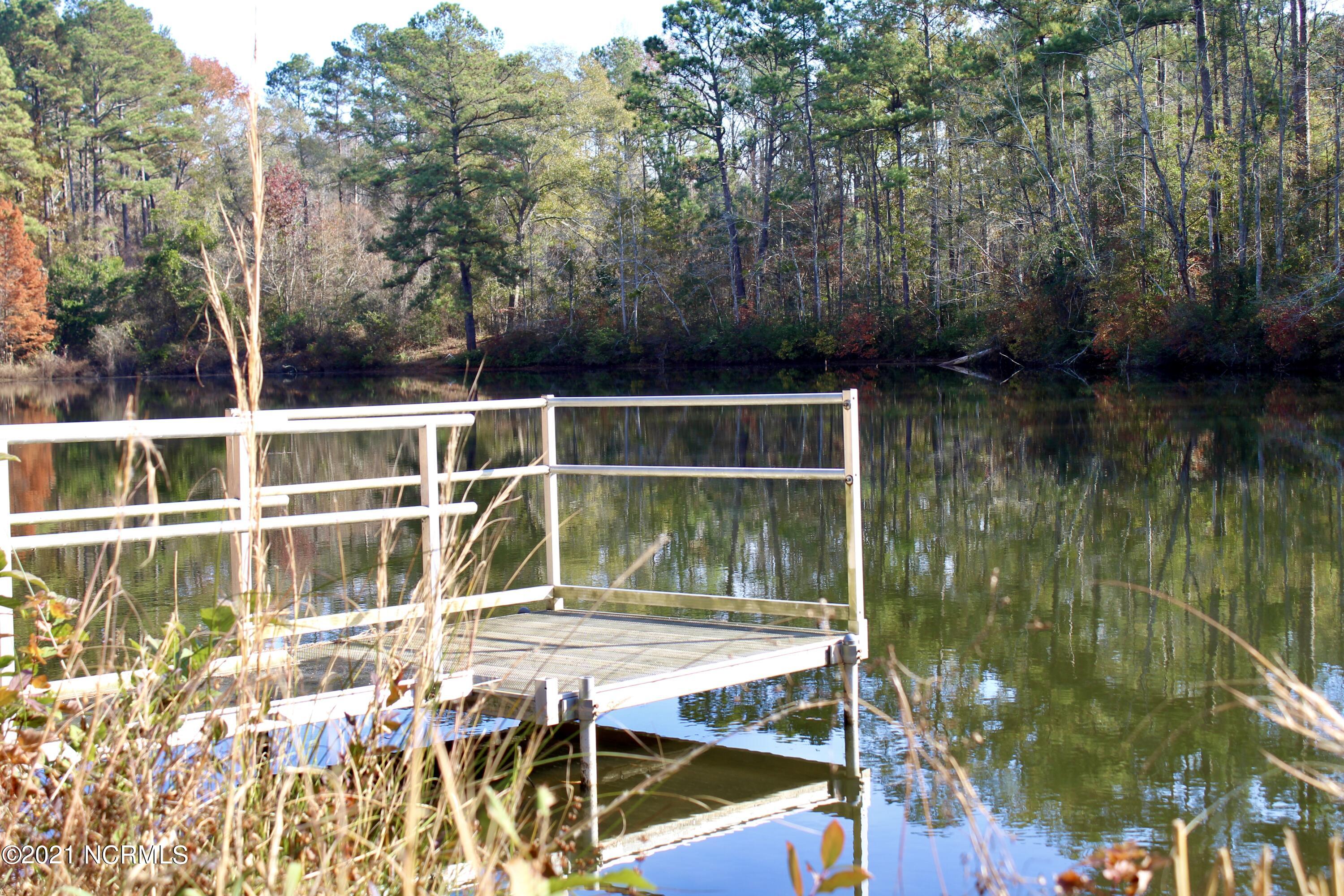 167 McGirt Road Hamlet, NC 28345 - Photo 20 of 27 view of pond