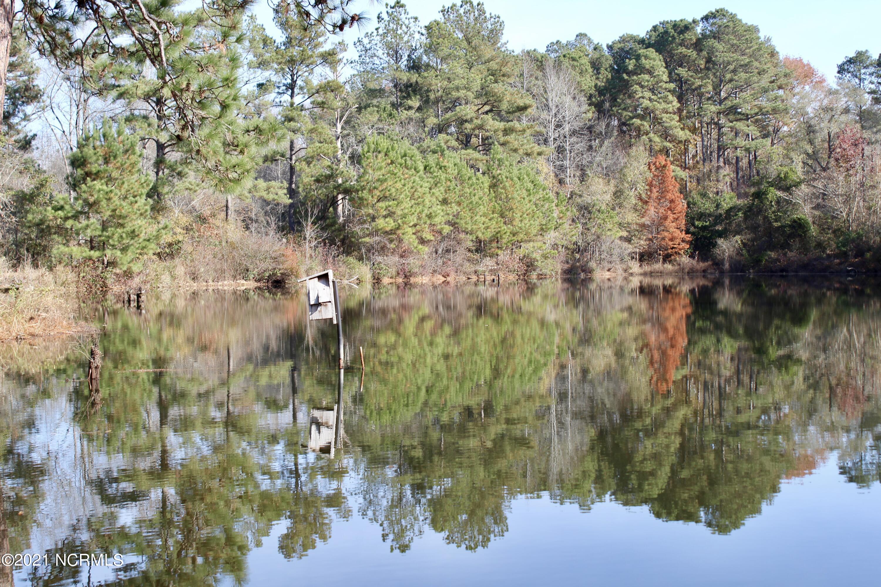 167 McGirt Road Hamlet, NC 28345 - Photo 21 of 27 view of pond