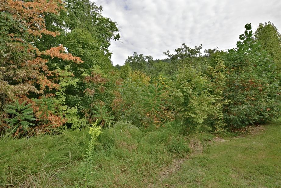 Lot 6 Stackstone Road Sevierville, TN 37862 - Photo 1 of 17 A