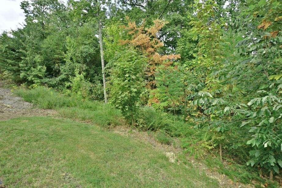 Lot 6 Stackstone Road Sevierville, TN 37862 - Photo 11 of 17 M