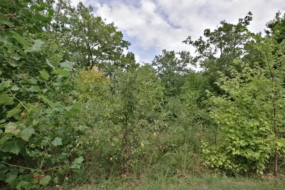 Lot 6 Stackstone Road Sevierville, TN 37862 - Photo 12 of 17 N