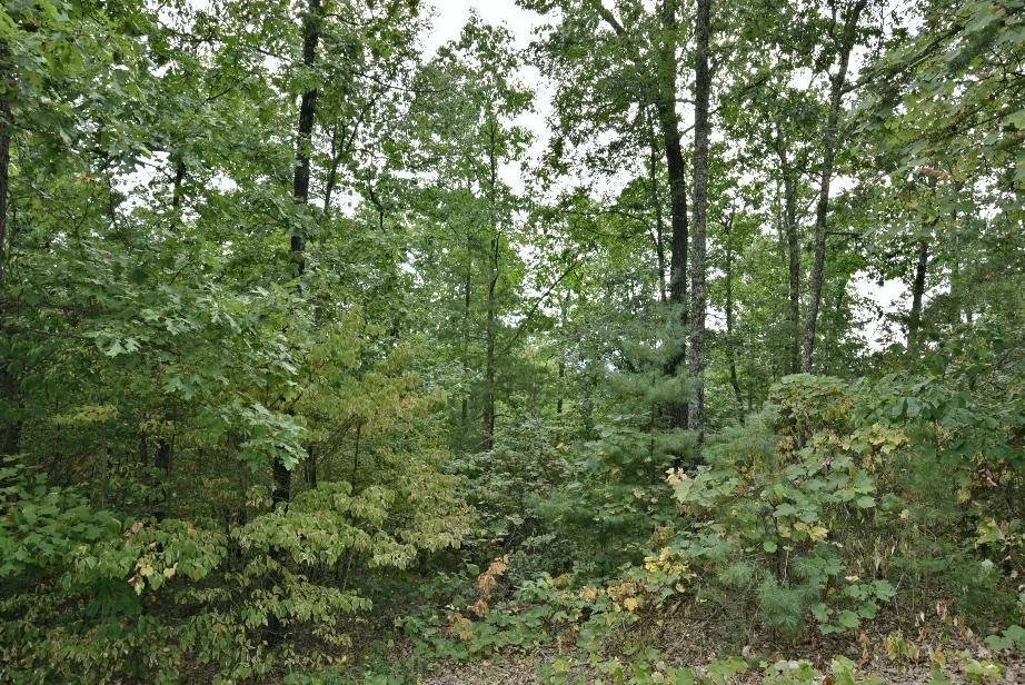 Lot 6 Stackstone Road Sevierville, TN 37862 - Photo 14 of 17 J