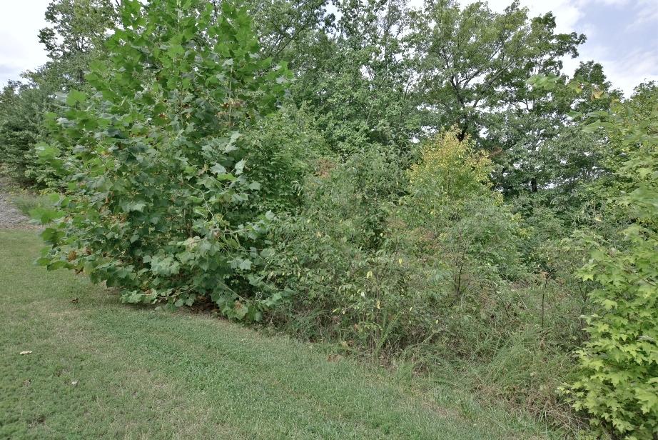 Lot 6 Stackstone Road Sevierville, TN 37862 - Photo 16 of 17 L
