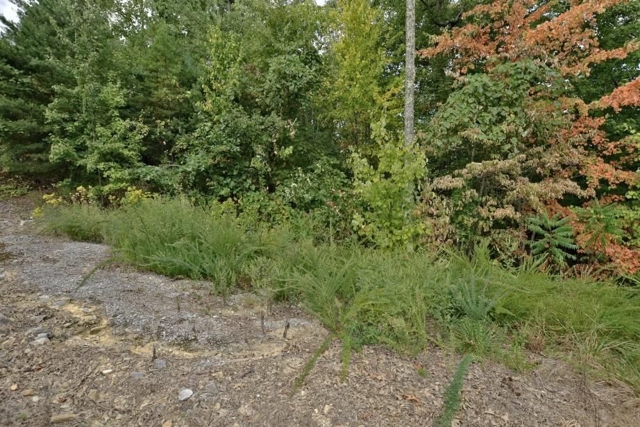 Lot 6 Stackstone Road Sevierville, TN 37862 - Photo 4 of 17 C