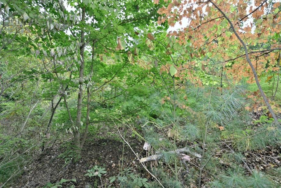 Lot 6 Stackstone Road Sevierville, TN 37862 - Photo 7 of 17 F