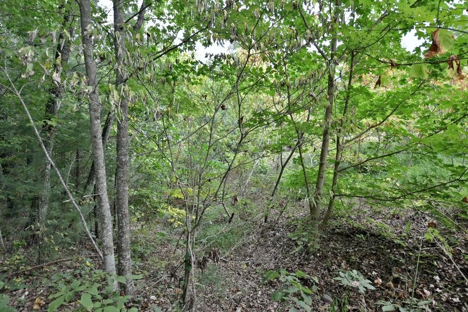 Lot 6 Stackstone Road Sevierville, TN 37862 - Photo 8 of 17 G