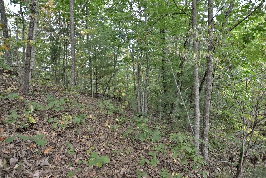 Lot 6 Stackstone Road Sevierville, TN 37862 - Photo 9 of 17 H
