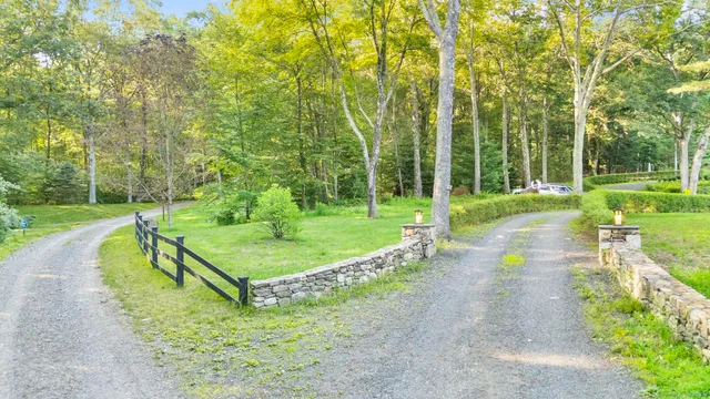 a view of a park with large trees