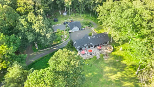 a view of a park with large trees