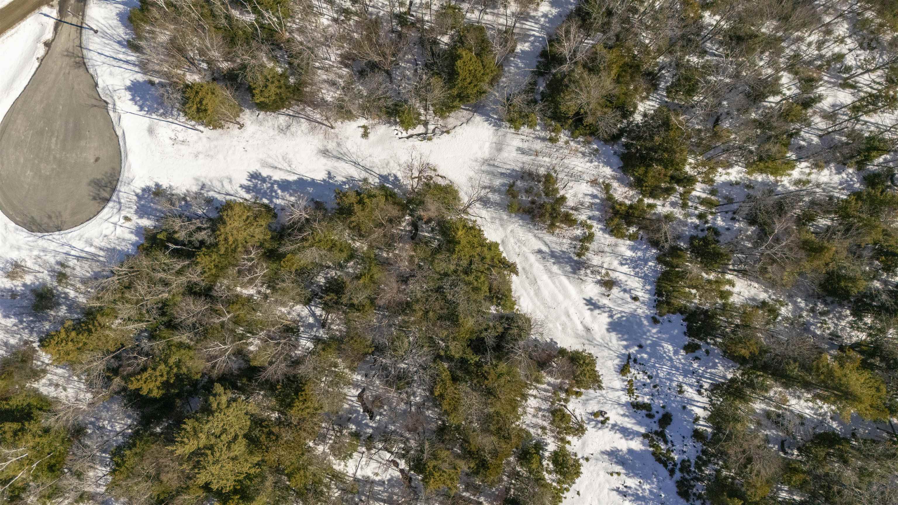 17 Hummock Lane Grantham, NH 03753 - Photo 3 of 20