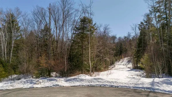 $90,000 | 17 Hummock Lane, Grantham, NH 03753