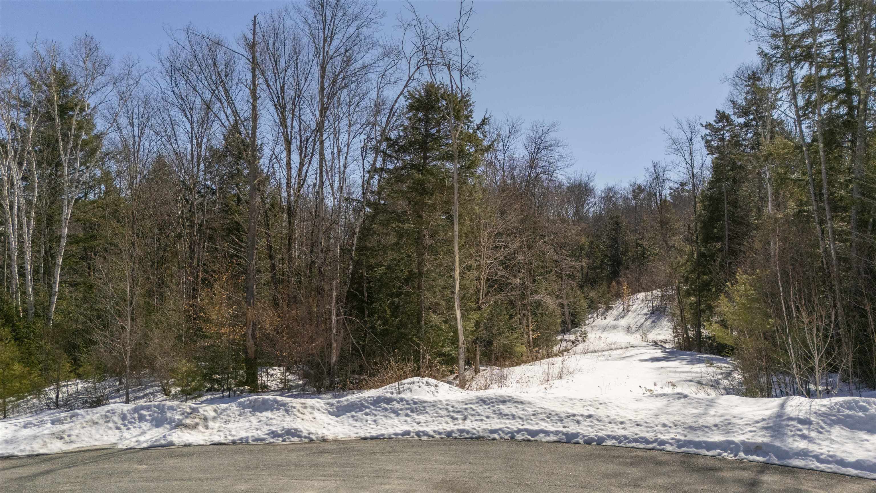 17 Hummock Lane Grantham, NH 03753 - Photo 4 of 20