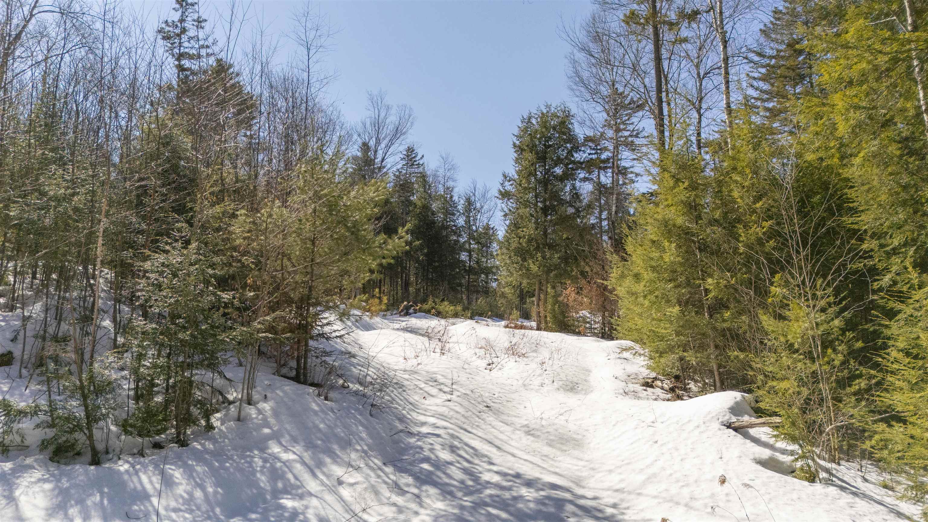 17 Hummock Lane Grantham, NH 03753 - Photo 5 of 20