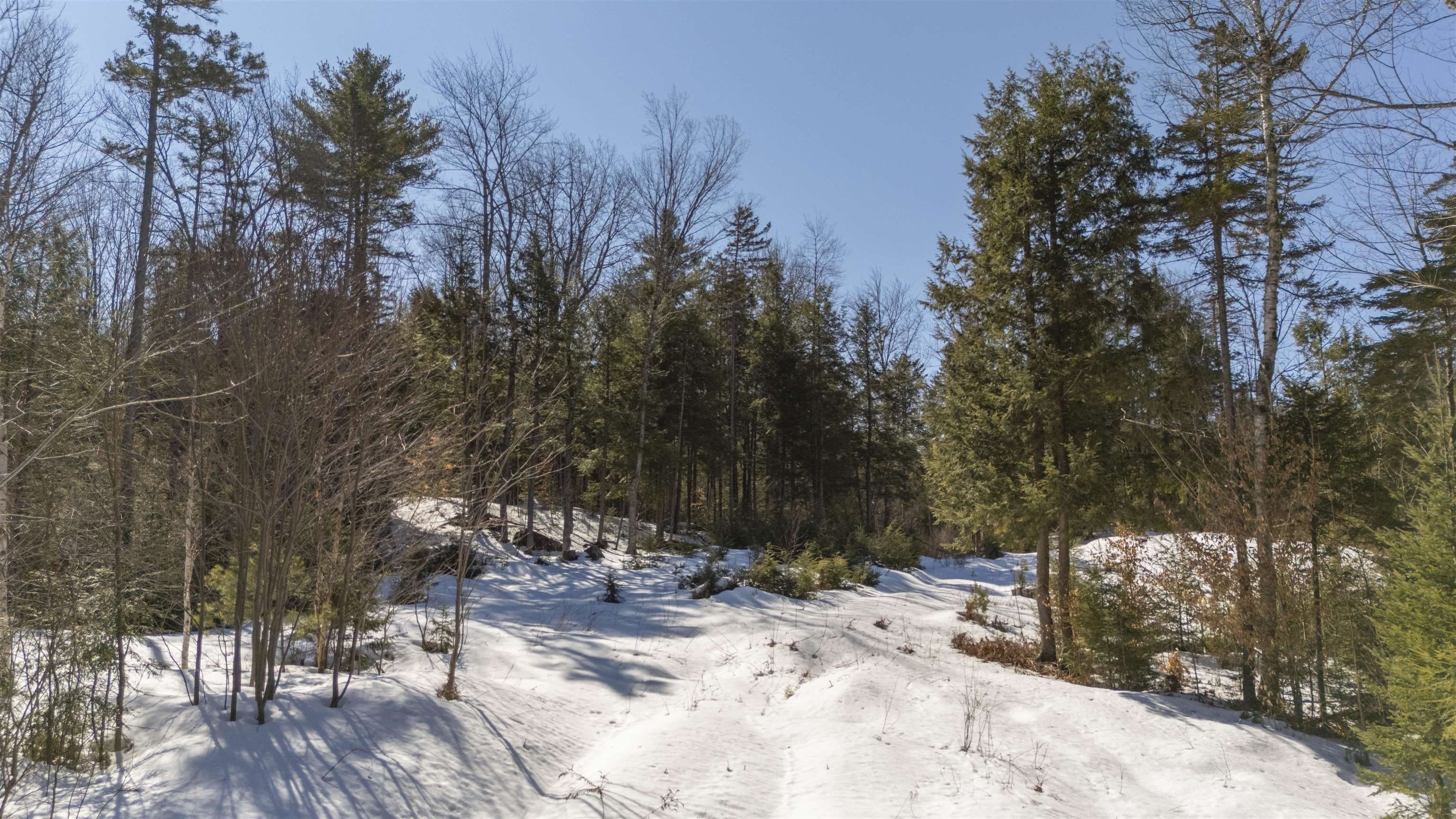 17 Hummock Lane Grantham, NH 03753 - Photo 8 of 20