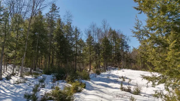 $90,000 | 17 Hummock Lane, Grantham, NH 03753