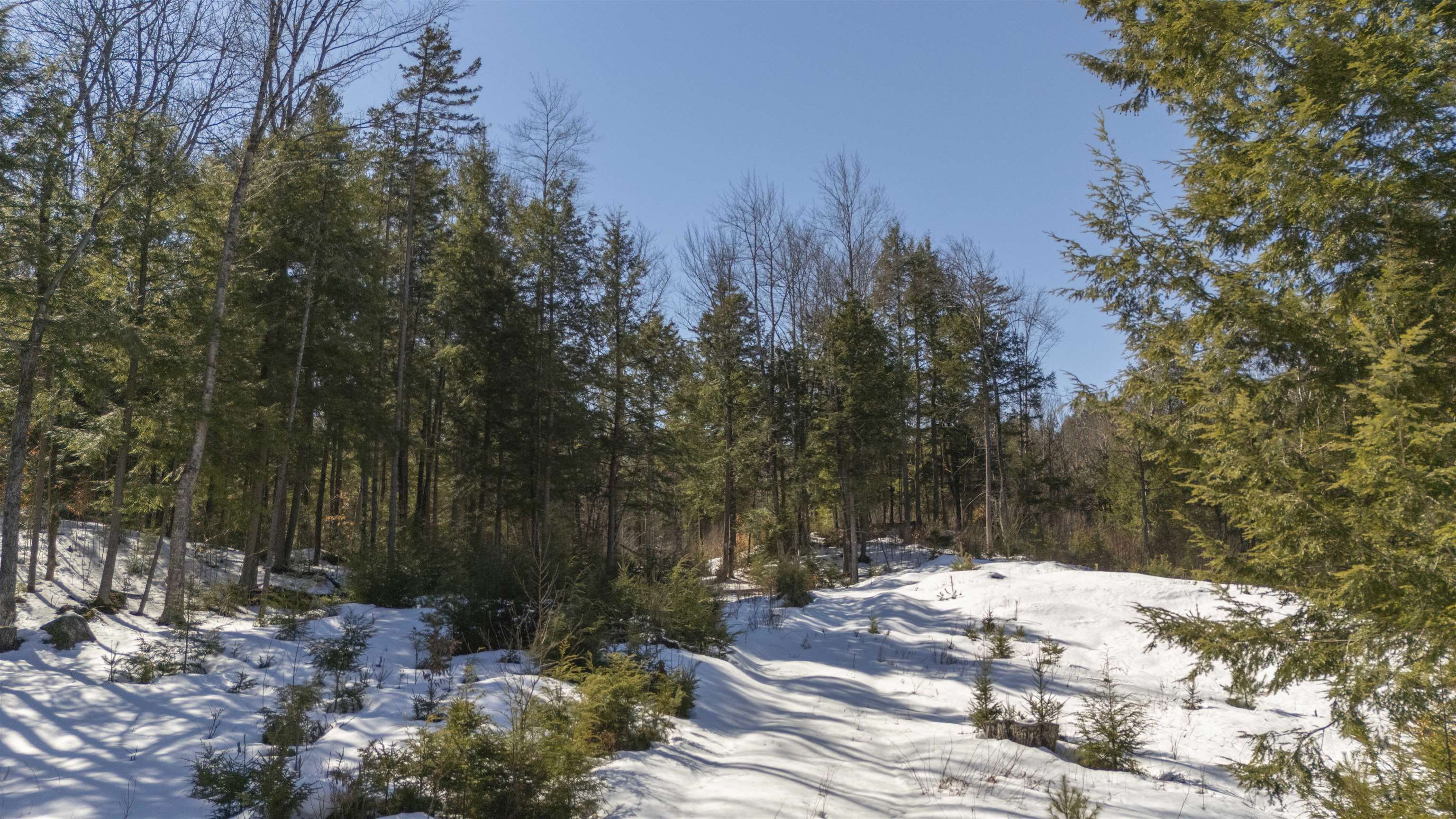 17 Hummock Lane Grantham, NH 03753 - Photo 9 of 20