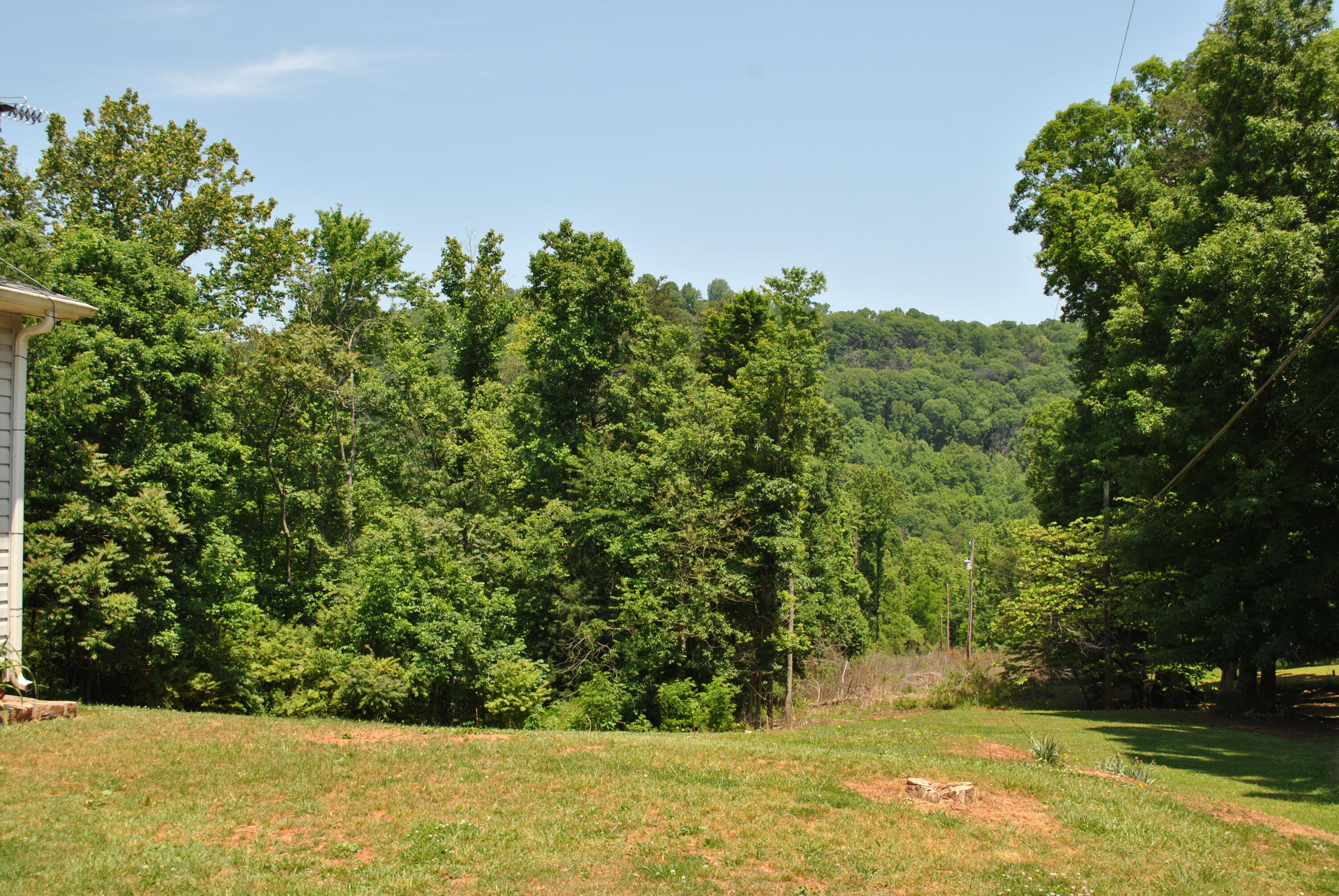 DSC_0039