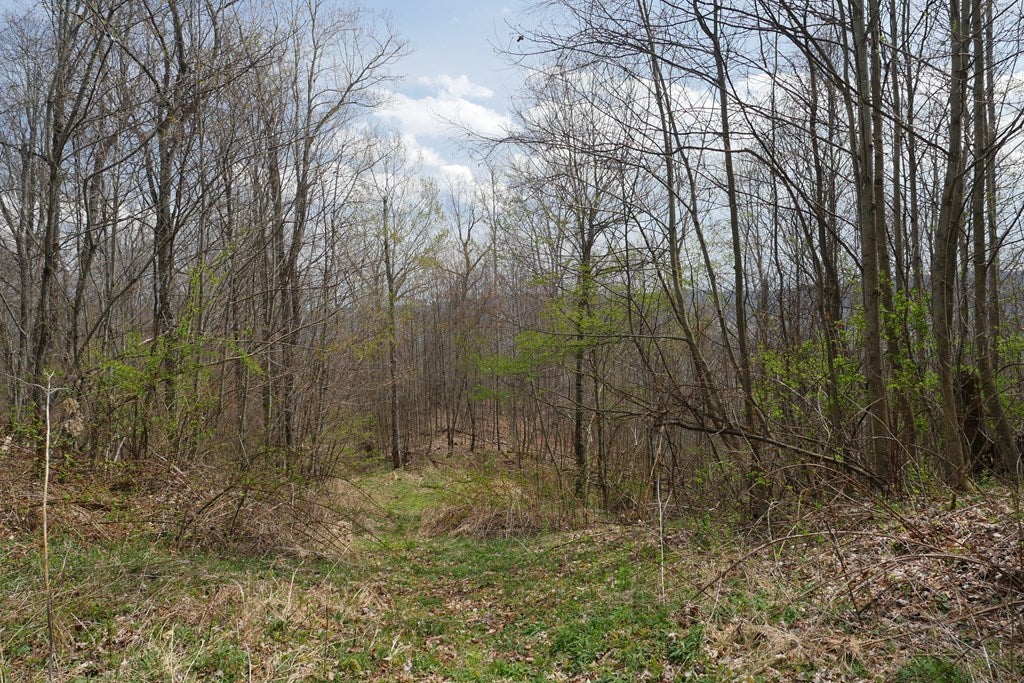 Tbd Unity Road, Unit 1 North Tazewell, VA 24630 - Photo 65 of 92 Gallery Image 65