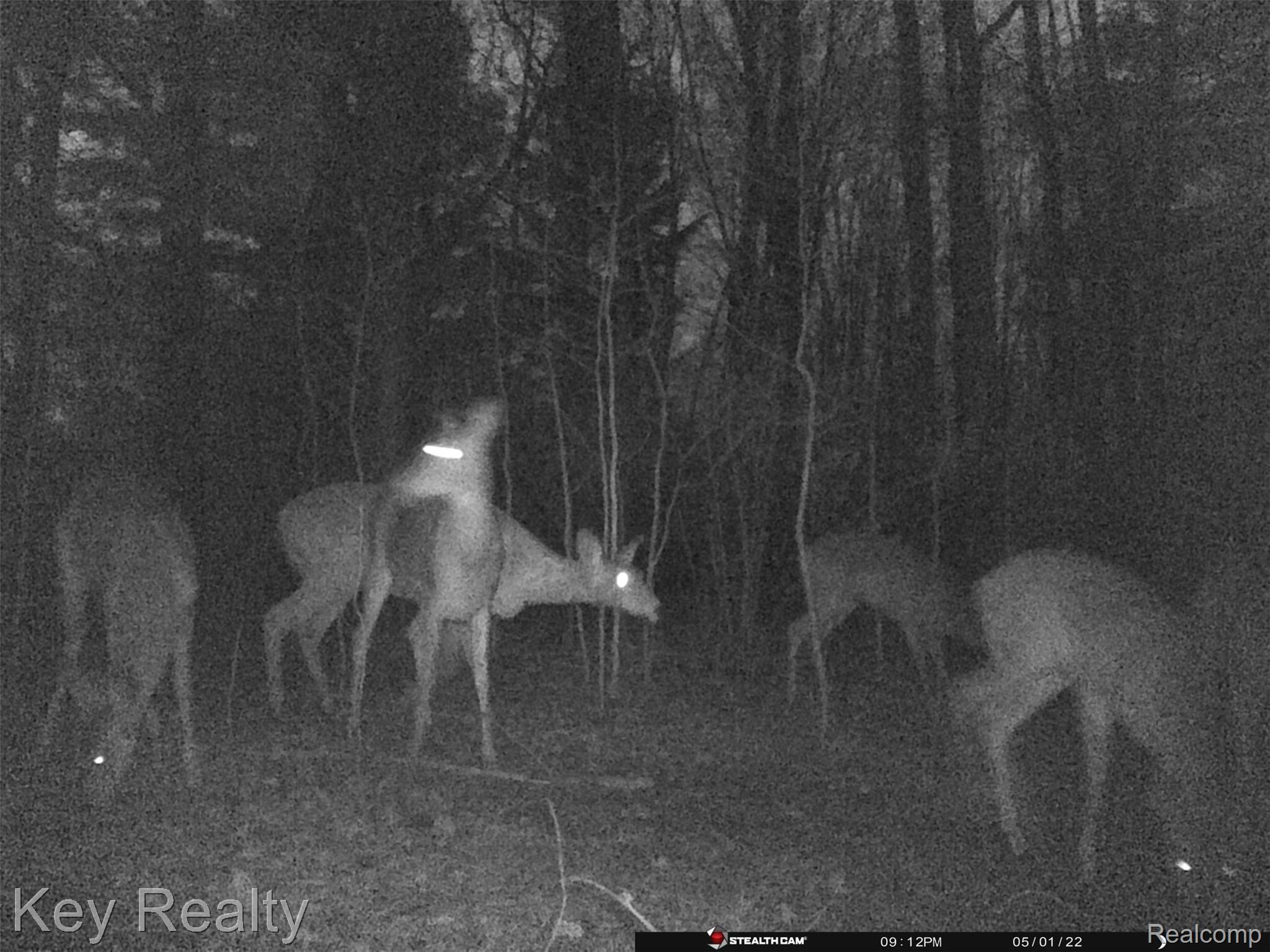 12726 Sweitzer Road Carleton, MI 48117 - Photo 50 of 60 C3B56D02-E5E5-482D-AA82-C5D2A1EF45CF.jpeg