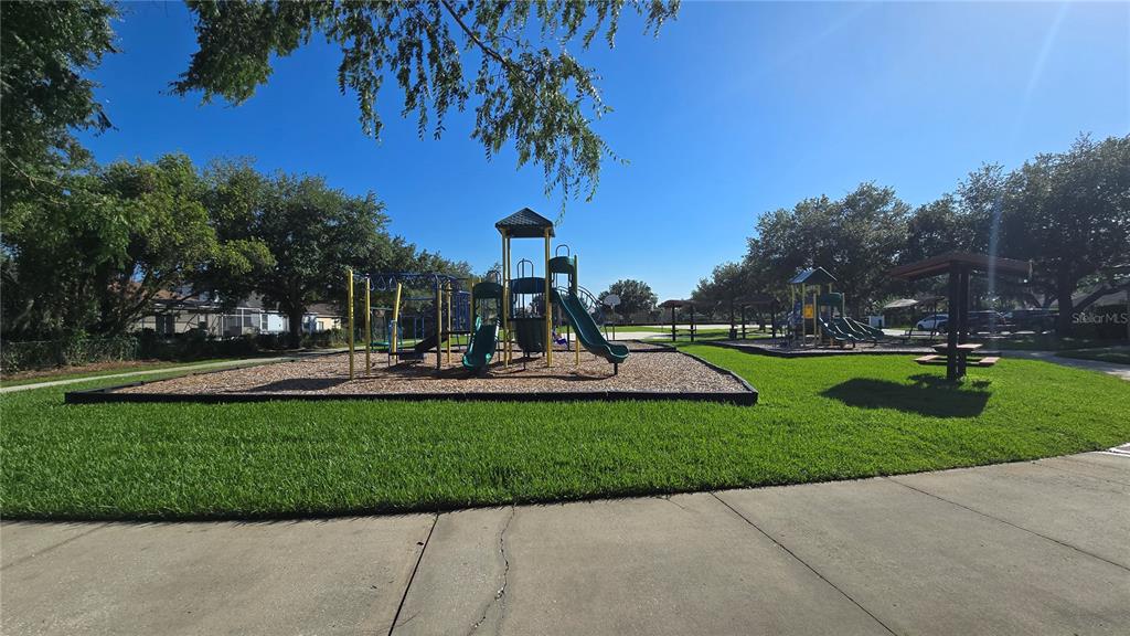 2009 Meadow Rue Court Trinity, FL 34655 - Photo 18 of 21 a view of a park with large trees