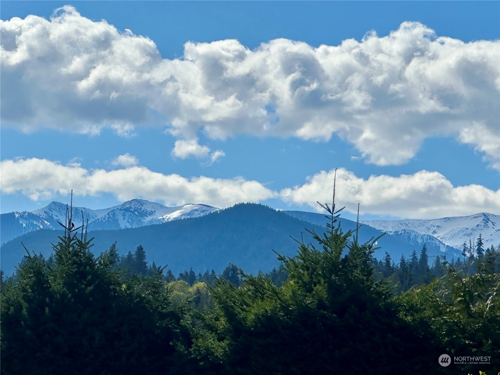 933 Draper Road Port Angeles, WA 98362 - Photo 1 of 9 Gallery Image 1