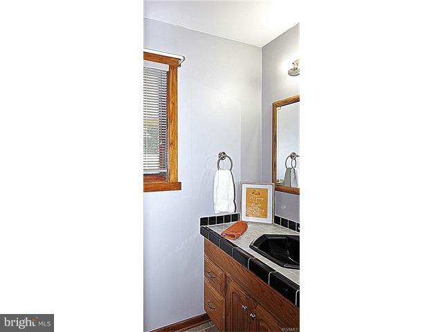 18248 Teman Road Beaverdam, VA 23015 - Photo 20 of 22 Bath