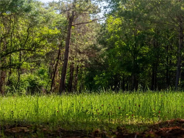 $174,900 | 1 Moorefield Memorial Highway, Liberty, SC 29657