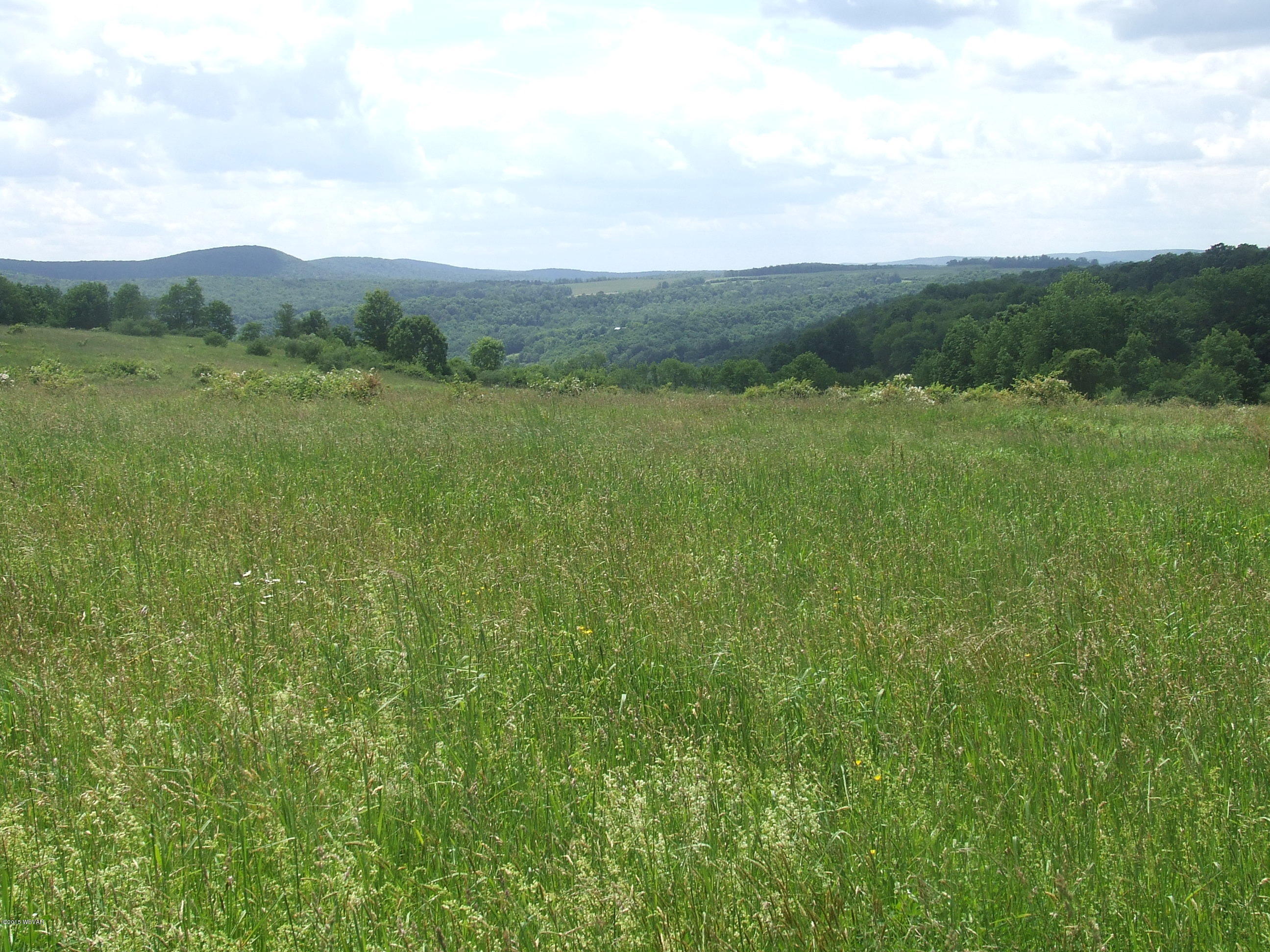 0 Shelmire Road Wellsboro, PA 16901 - Photo 9 of 9 SCF2218.JPG