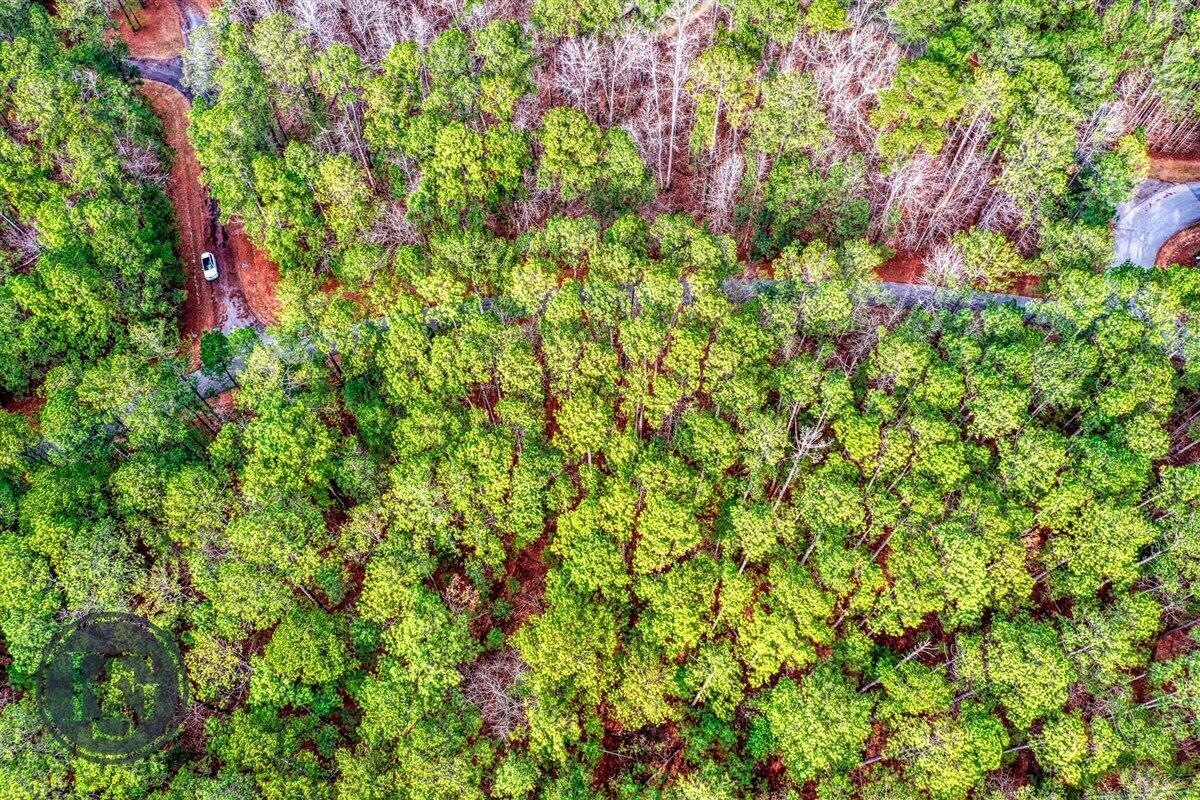 L7-b61 Rhett Drive McCormick, SC 29835 - Photo 2 of 11