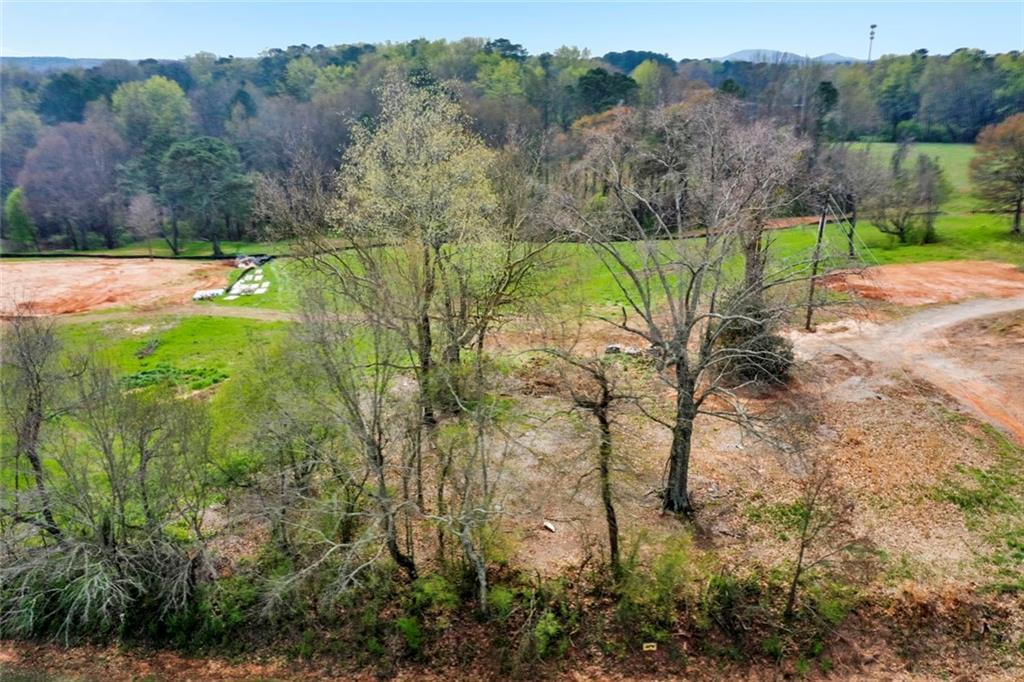 390 Lower Union Hill Road Canton, GA 30115 - Photo 1 of 1 a view of a yard with a tree