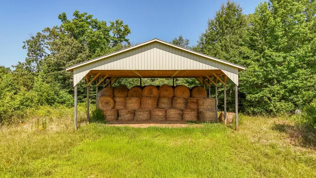 a view of a yard with a tree