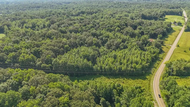 a view of a yard and trees
