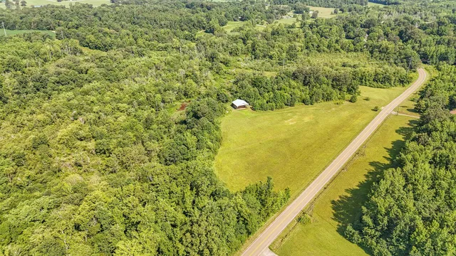a view of a yard with two trees in front of it