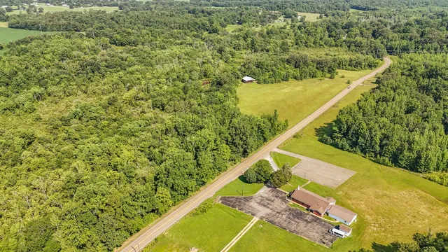 a view of a green field with plants