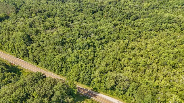 a view of a yard with an outdoor space