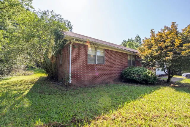 a view of a backyard with potted plants and large tree