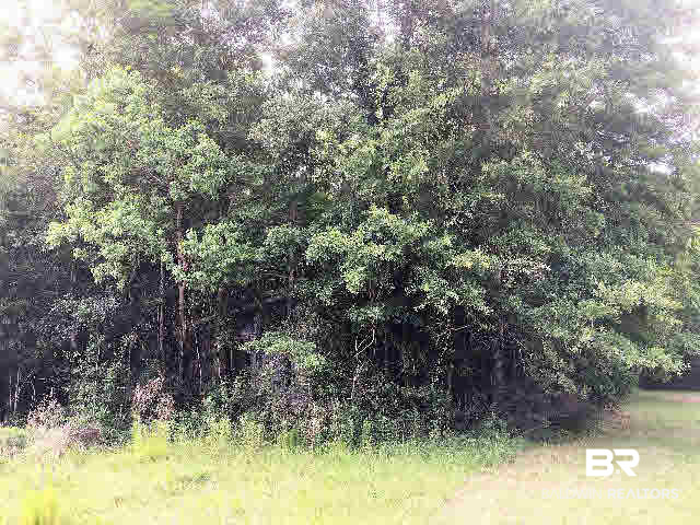 17531 Caldwell Lane Bon Secour, AL 36535 - Photo 2 of 5