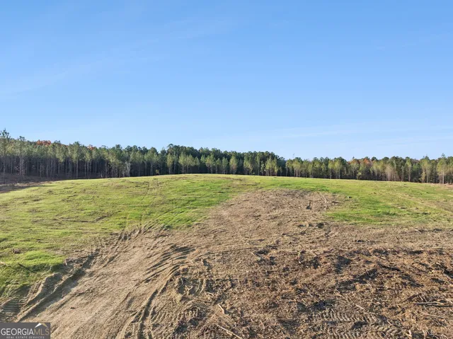 a view of a lake with houses in the background