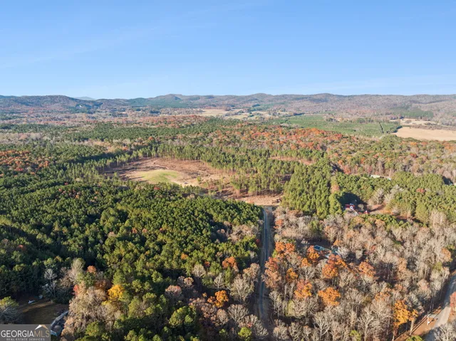 a view of city and mountain