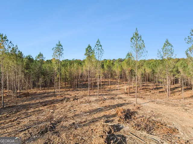 a view of an ocean with a city